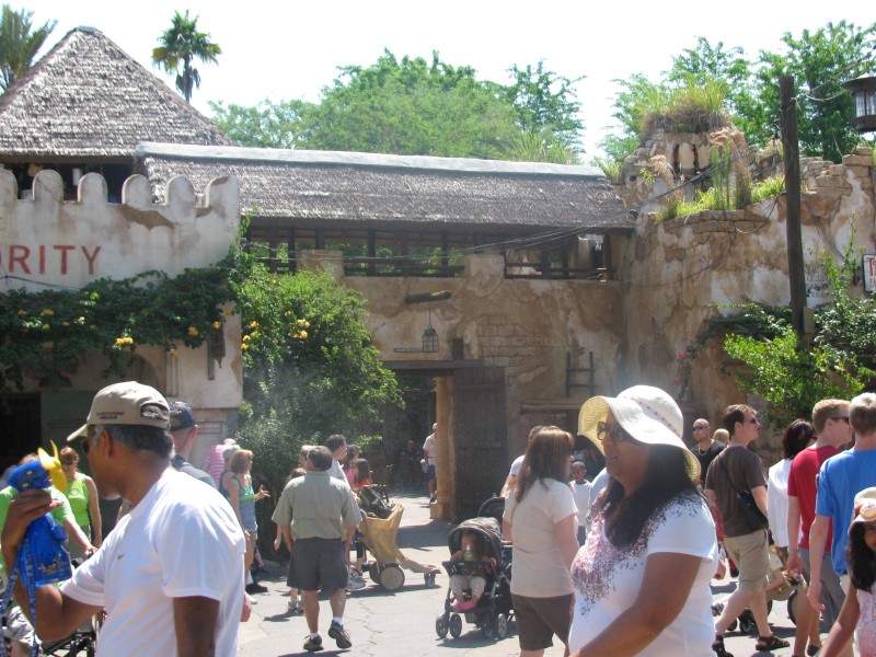 Animal Kingdom 048.jpg